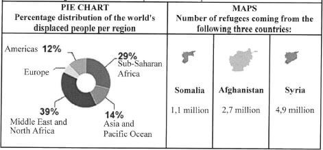 refugees pie chart