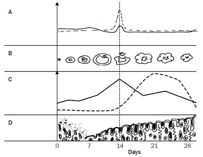 appendix 12