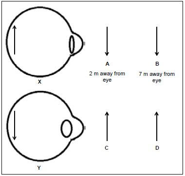 appendix 6 eyes kjhkj