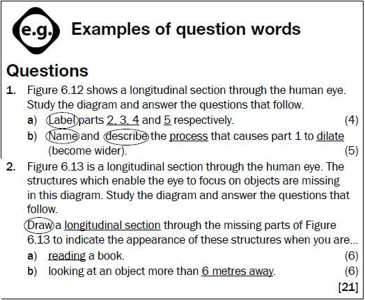 examples of questions