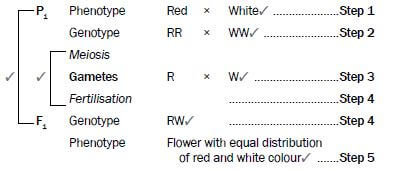 genetics 10