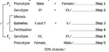 genetics 11