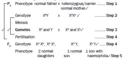 genetics 12