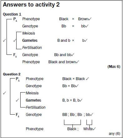 genetics 13