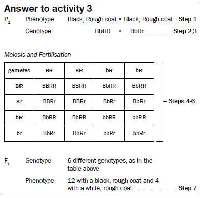 genetics 16