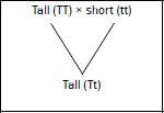 genetics 3