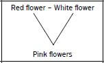 genetics 4