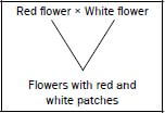 genetics 5