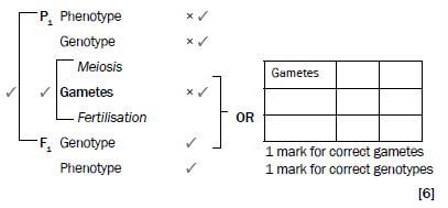 genetics 7