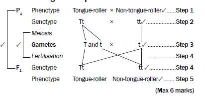 genetics 8