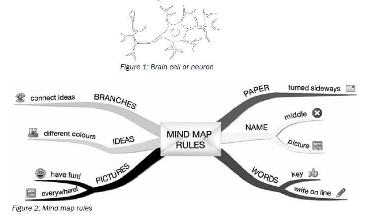mind map ls exam guide