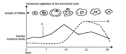 reproduction 6