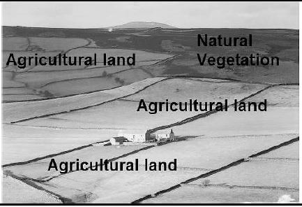 SETTLEMENT PATTERN